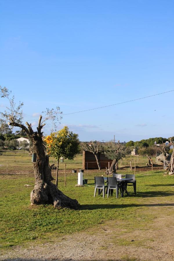 Monte Das Cobras - Country House Эвора Экстерьер фото