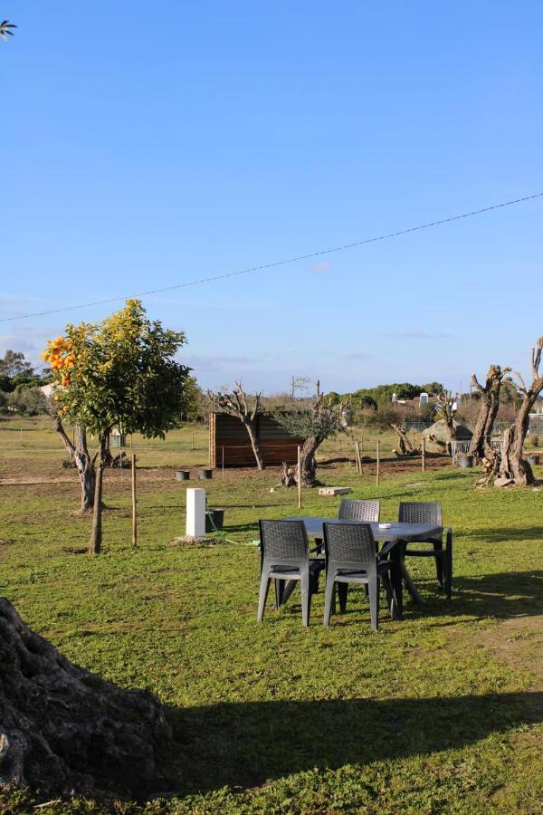 Monte Das Cobras - Country House Эвора Экстерьер фото